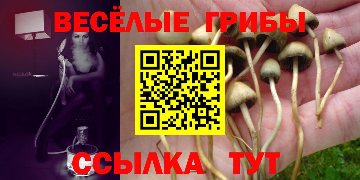 Грязи  Галлюциногенные грибы ЛСД  Вход с VPN  Псилоцибиновые грибы MAGIC MUSHROOMS 